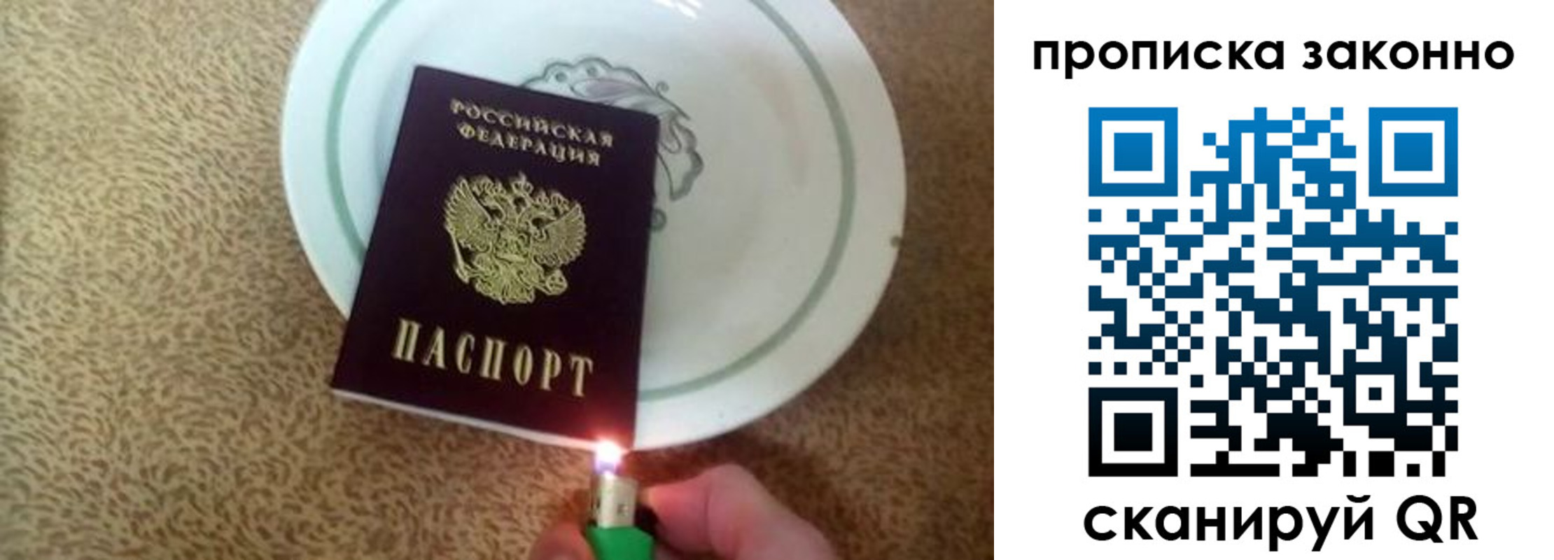 прописка поиск в Сельцо